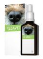 Energy Regavet - pří potížích s trávením, kapky 30 ml